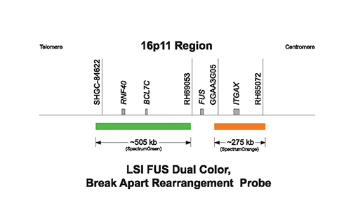 FUS break apart